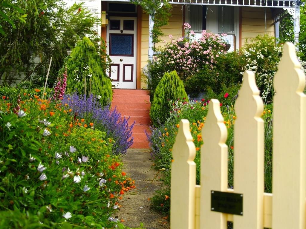 Цветы для палисадника — как красиво посадить растения перед домом, фото