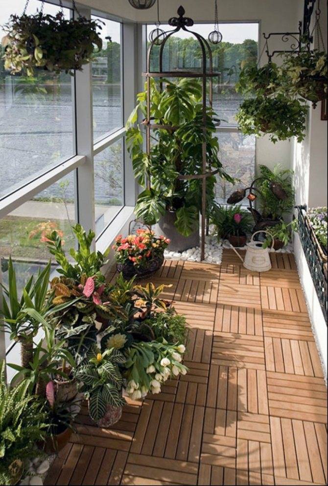 Сад на балконе и лоджии зимой, фото идей