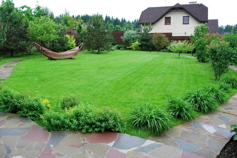 Красивый газон на участке — выбор сорта и советы по оформлению газона (125 фото + видео)