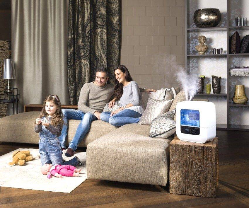 Лучшие ионизаторы воздуха для дома: рейтинг 2021 года