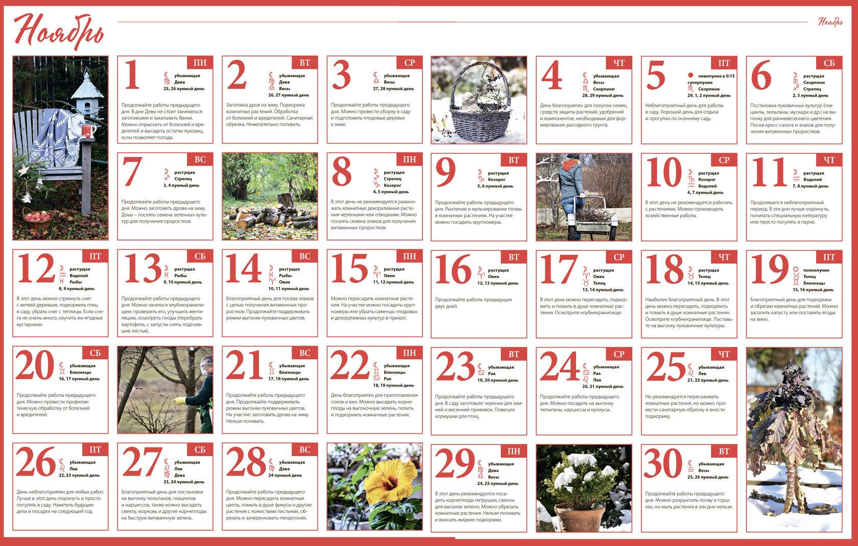 Лунный календарь для посадки деревьев и цветов в 2021 году: когда сажать, благоприятные дни