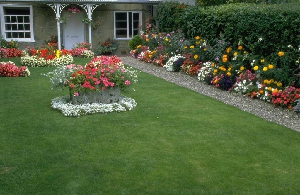 Как оформить лужайку перед домом – создаем зеленую площадку с цветниками и клумбами