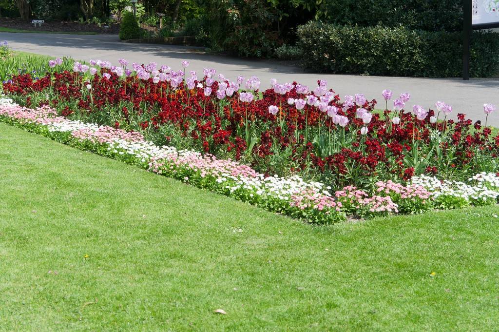 Рабатка: схема, фото в ландшафтном дизайне, подбор растений для цветов вдоль дорожки, как сделать своими руками из многолетников  | qlumba.com